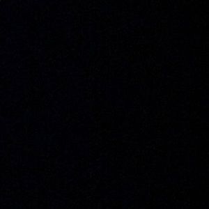 Meet your Posher, Riley